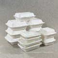 Biodegradable Bagasse Food Containers Take Out Box with 2 Compartment